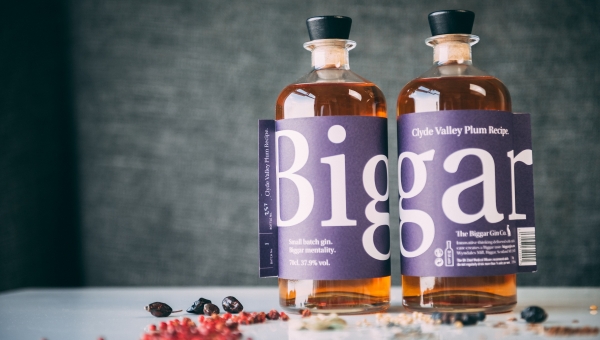 Clyde valley plum gin